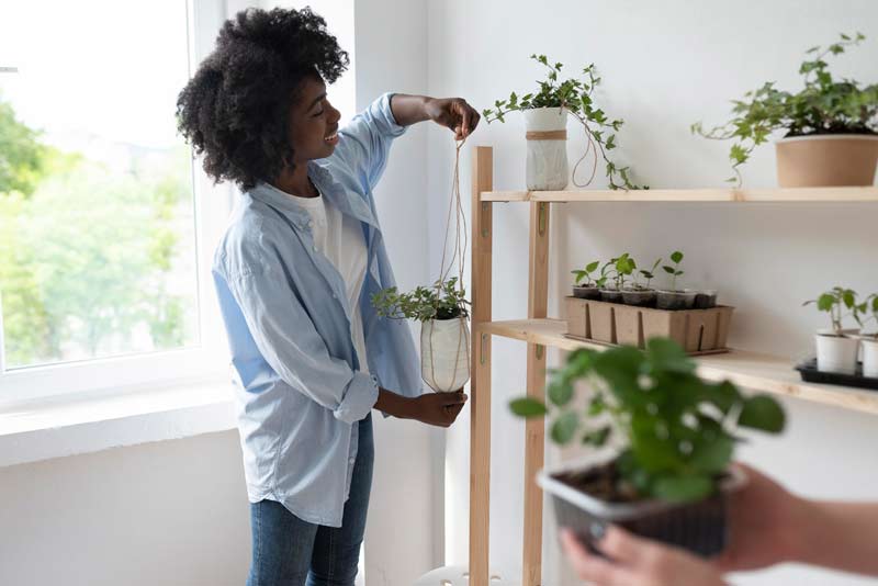 Como escolher plantas para o apartamento